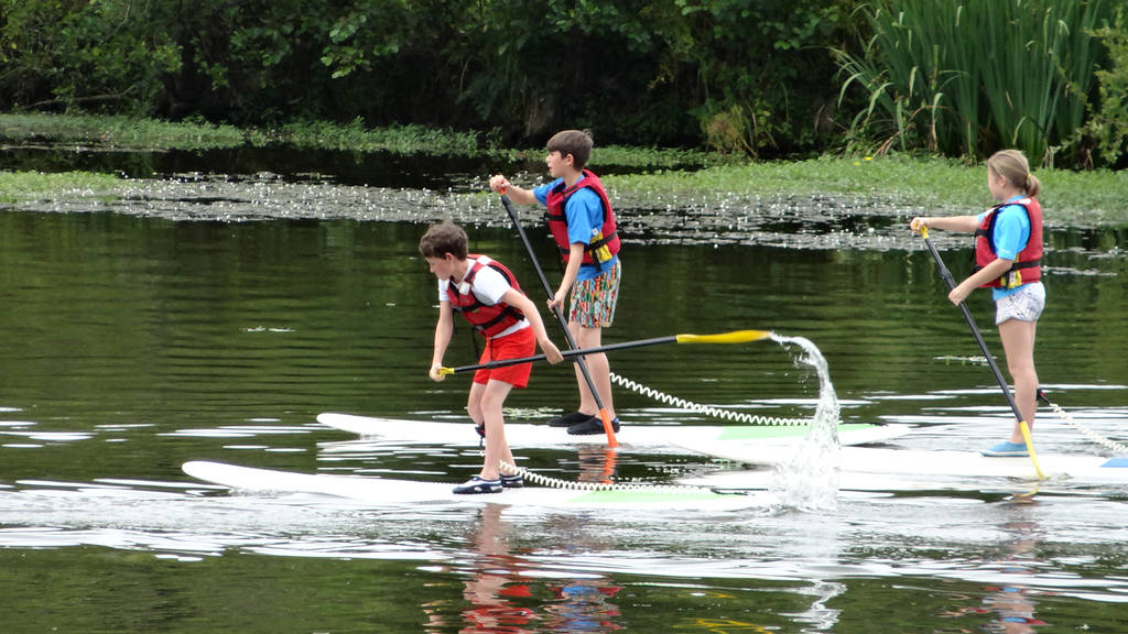 paddle
