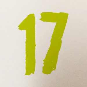 17 CDDI